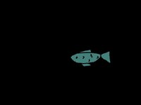 Fishy Survival screenshot, image №3120551 - RAWG