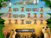 Flamingo Safari Slots FREE screenshot, image №1397332 - RAWG