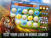 Cats Slot Machines screenshot, image №1343151 - RAWG