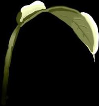 Nobamboo screenshot, image №1864532 - RAWG