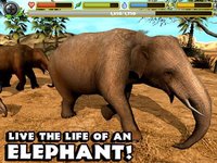 Elephant Simulator screenshot, image №2257971 - RAWG