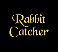 Rabbit Catcher (Sajjad Khan) screenshot, image №3661509 - RAWG