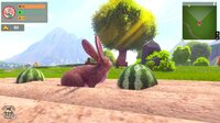 Adventure Forest: Rabbit Story screenshot, image №4070062 - RAWG