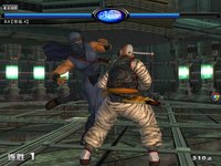 Dead or Alive Online screenshot, image №480273 - RAWG