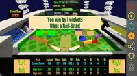 PinBall Cricket screenshot, image №2638055 - RAWG