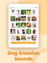 Dog Translator, Games for Dogs screenshot, image №3783282 - RAWG