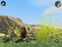 Wild Lion Survival Simulator screenshot, image №2620207 - RAWG