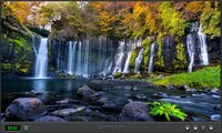 Puzzle Flora 2022 screenshot, image №3457871 - RAWG
