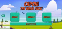 Capoia: The Ninja Frog screenshot, image №3558363 - RAWG