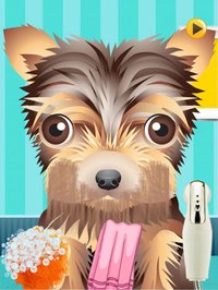 A Cute Puppy Shave Salon - eXtreme Makeover Spa Games Edition screenshot, image №1983880 - RAWG