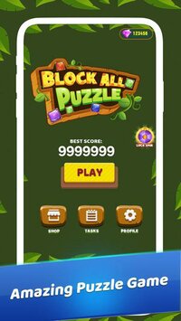 Block All Puzzle screenshot, image №2709499 - RAWG