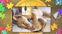 Animal World Puzzles screenshot, image №3204310 - RAWG