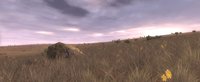 Medieval 2: Total War screenshot, image №444511 - RAWG