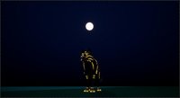 Kodiak's Tale screenshot, image №1926303 - RAWG
