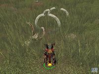 Lords of EverQuest screenshot, image №360877 - RAWG