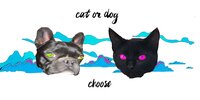 JUEGO GRATIS. Cat or Dog screenshot, image №3043301 - RAWG