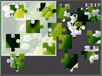 A Flower Puzzle Game screenshot, image №1626145 - RAWG