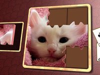 Jigsaw Solitaire Kitties screenshot, image №1986714 - RAWG