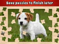 Jigsaw Puzzle Bug screenshot, image №1943873 - RAWG
