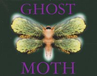 Ghost Moth (demo) screenshot, image №3319086 - RAWG