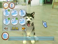 Petz Sports screenshot, image №510097 - RAWG