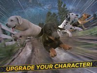 Hero Patrol: Puppy Farm screenshot, image №1854489 - RAWG