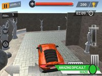 Maze Parking Car High Lever screenshot, image №1596345 - RAWG