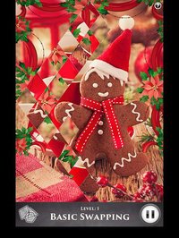 Hidden Scenes - Cozy Christmas screenshot, image №1675957 - RAWG