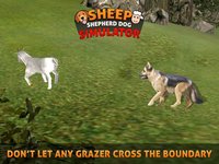 Sheep Dog: Trained Herding Dog Simulator screenshot, image №1780220 - RAWG