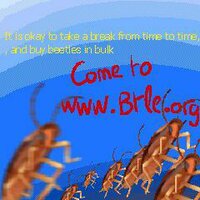 Cursor's Curse screenshot, image №2446498 - RAWG