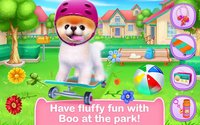 Boo - The World's Cutest Dog screenshot, image №1540019 - RAWG