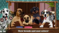 Summer Fun with DogWorld Premium screenshot, image №1522861 - RAWG