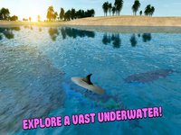 Sea Simulator: Dolphin 3D screenshot, image №1333264 - RAWG