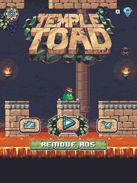 Temple Toad screenshot, image №904883 - RAWG