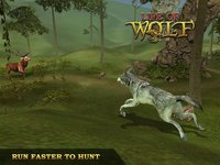 Life Of Wolf Simulator: Hunt Feed and Grow wolves screenshot, image №1780009 - RAWG