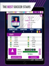 Soccer Eleven Manager screenshot, image №1970766 - RAWG