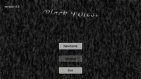 Black Forest(ブラックフォレスト) screenshot, image №3461584 - RAWG