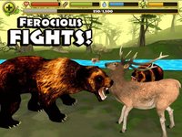 Wildlife Simulator: Bear screenshot, image №1968105 - RAWG