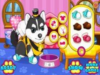 Cats & Dogs Grooming Salon—Dressup Game screenshot, image №963782 - RAWG