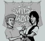 Bill & Ted's Excellent Game Boy Adventure: A Bogus Journey! screenshot, image №751131 - RAWG