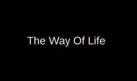 The Way Of Life (Xaxup) screenshot, image №3350099 - RAWG