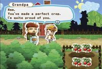 Harvest Moon: My Little Shop screenshot, image №789871 - RAWG