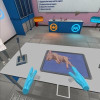 VR Pig Dissection: Hoggin' the Scalpel screenshot, image №2301631 - RAWG