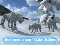 Wild Snow Leopard: Animal Simulator screenshot, image №1625829 - RAWG