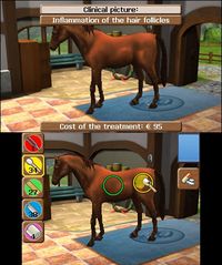 Horse Vet 3D screenshot, image №263638 - RAWG