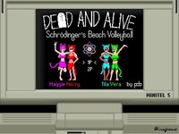 Dead And Alive: Schrödinger's Beach Volleyball screenshot, image №2124168 - RAWG