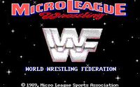 MicroLeague Wrestling screenshot, image №756266 - RAWG
