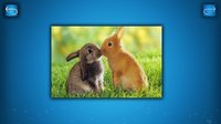 PUZZLE: ANIMALS screenshot, image №1822200 - RAWG