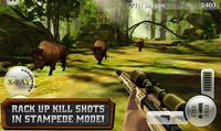 DEER HUNTER RELOADED screenshot, image №1449028 - RAWG