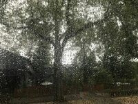 A Rainy Morning screenshot, image №2468906 - RAWG